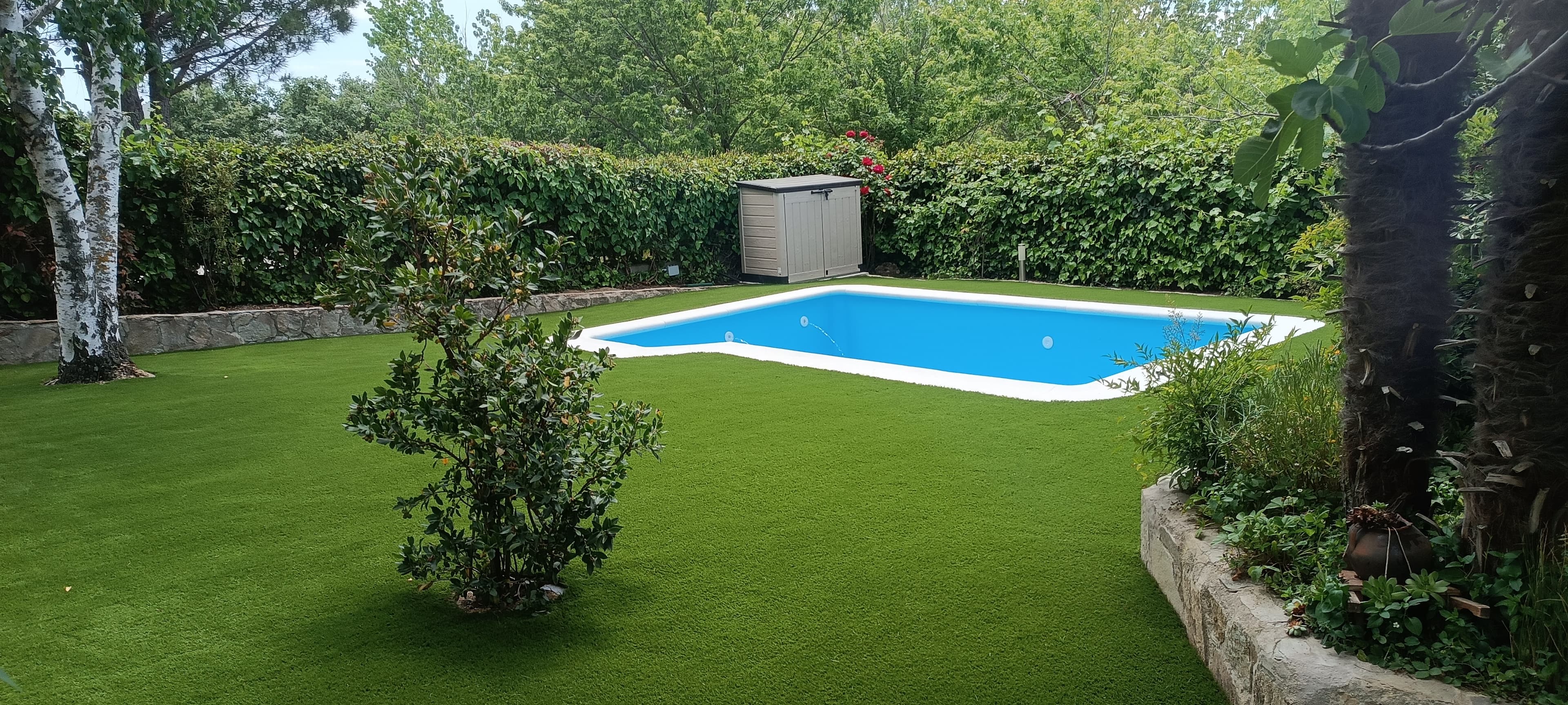 Piscina con jardín y césped artificial